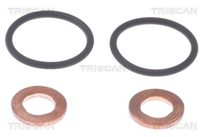 TRISCAN Seal Kit, injector nozzle