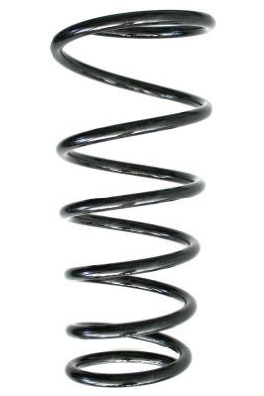 SPIDAN Suspension Spring