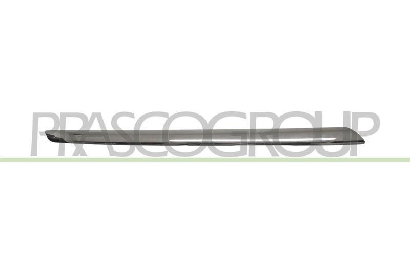 Trim/Protective Strip, radiator grille