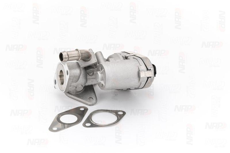 NAP carPARTS AGR-Ventil
