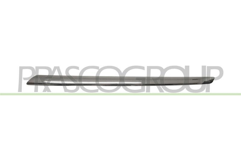 Trim/Protective Strip, radiator grille