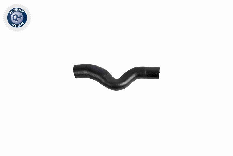 VAICO K&uuml;hlerschlauch Q+, Erstausr&uuml;sterqualit&auml;t V10-8872