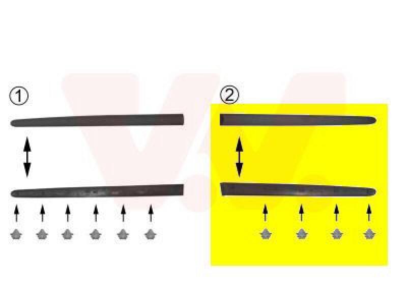 VAN WEZEL Trim/Protective Strip, door