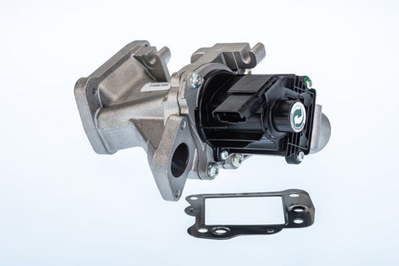 BorgWarner (Wahler) EGR Valve