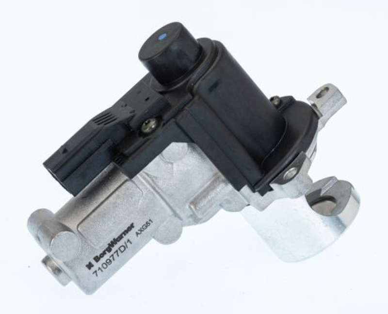BorgWarner (Wahler) EGR Valve