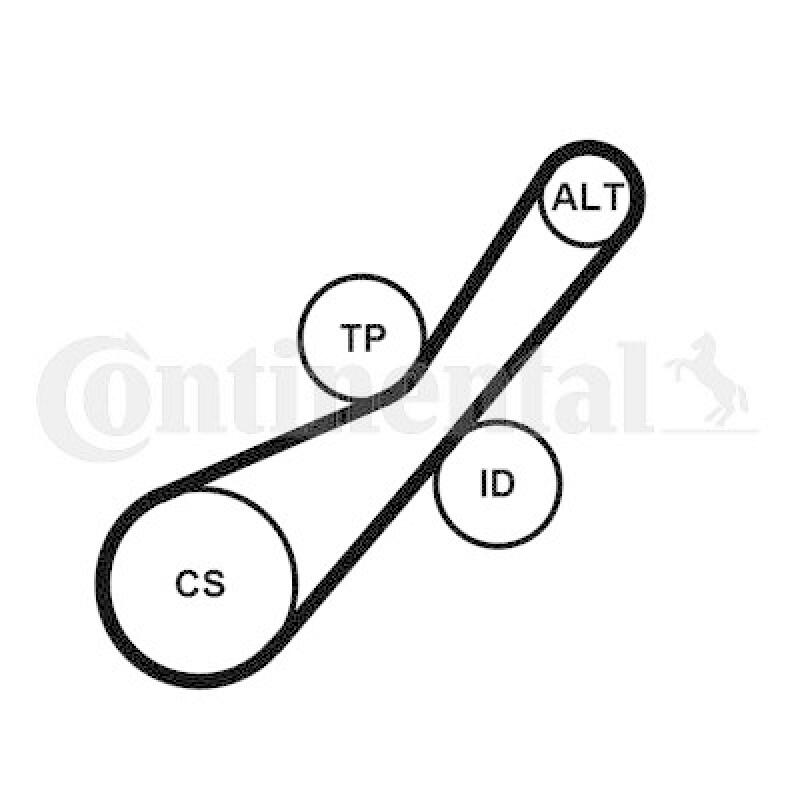 CONTINENTAL CTAM V-Ribbed Belt Set