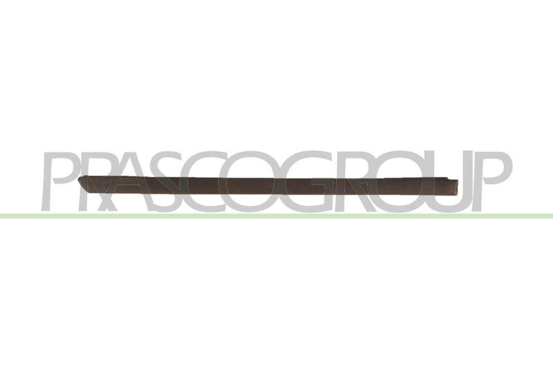 Trim/Protective Strip, door