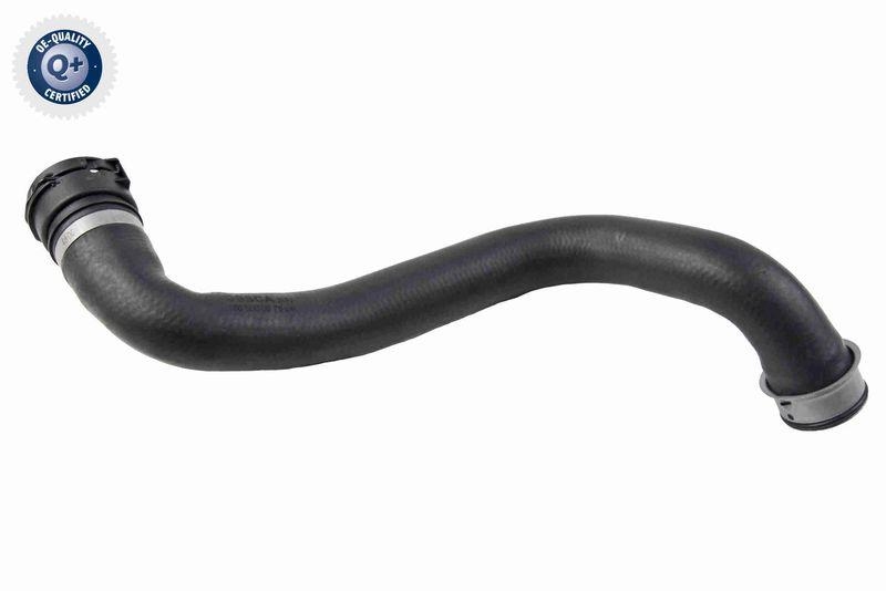 VAICO K&uuml;hlerschlauch Q+, Erstausr&uuml;sterqualit&auml;t V30-4230