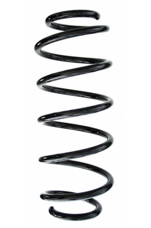 SPIDAN Suspension Spring