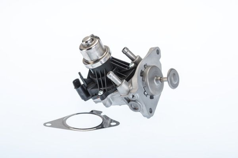 BorgWarner (Wahler) AGR-Ventil