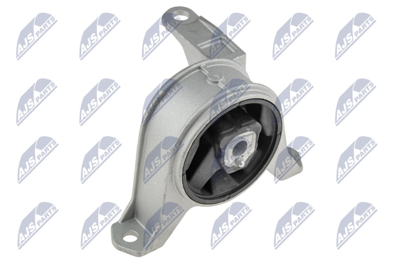 NTY Lagerung, Motor ZPS-PL-001