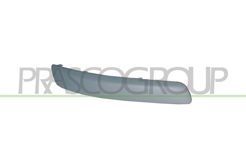 Trim/Protective Strip, bumper Premium