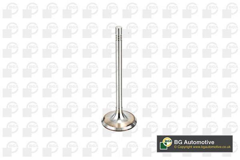 BGA Intake Valve