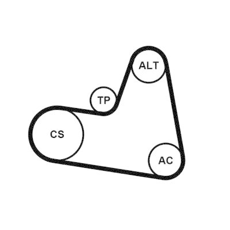 CONTINENTAL CTAM Keilrippenriemensatz 6PK962K1