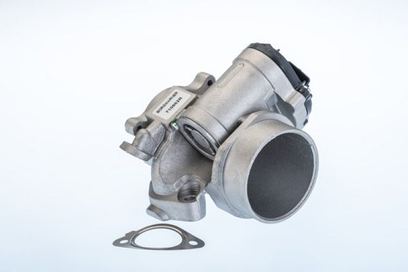 BorgWarner (Wahler) AGR-Ventil