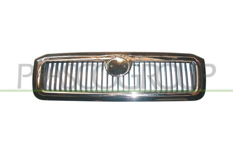 Radiator Grille