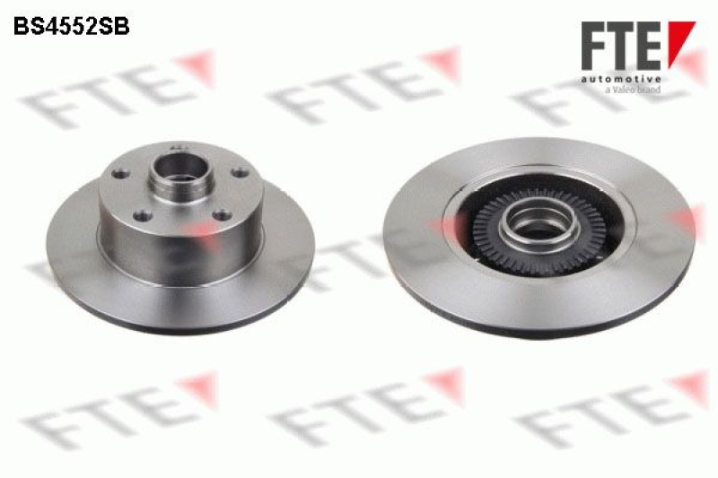 2x FTE Brake Disc