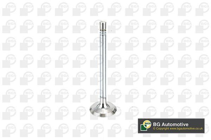 BGA Intake Valve
