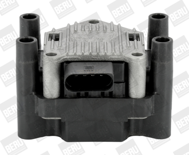 BorgWarner (BERU) Ignition Coil