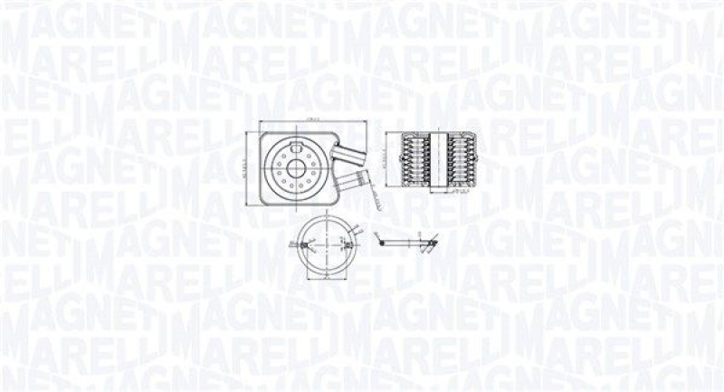 MAGNETI MARELLI Ölkühler, Motoröl