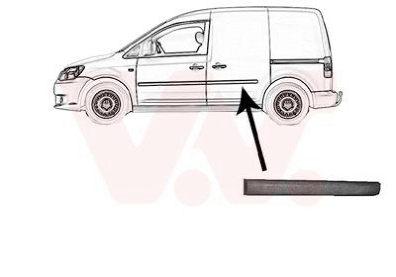 VAN WEZEL Trim/Protective Strip, door