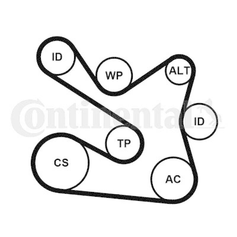 CONTINENTAL CTAM Keilrippenriemensatz