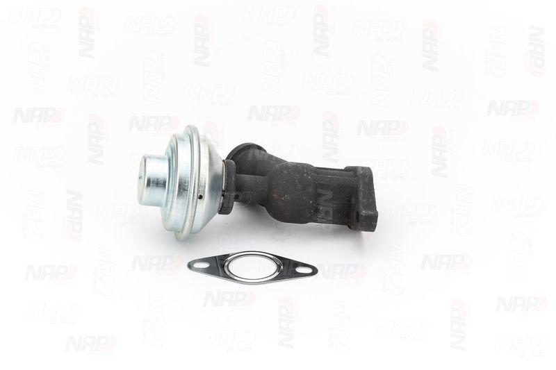 NAP carPARTS AGR-Ventil