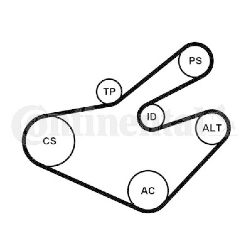 CONTINENTAL CTAM Water Pump + V-Ribbed Belt Set