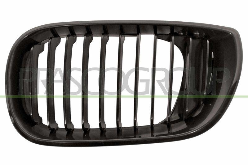 Radiator Grille