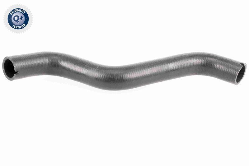 VAICO Radiator Hose Original VAICO Quality