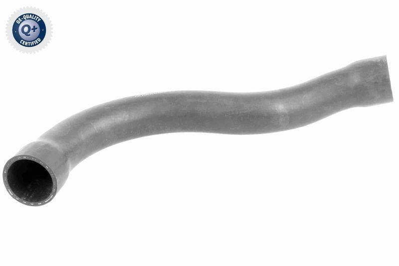 VAICO Radiator Hose Q+, original equipment manufacturer quality