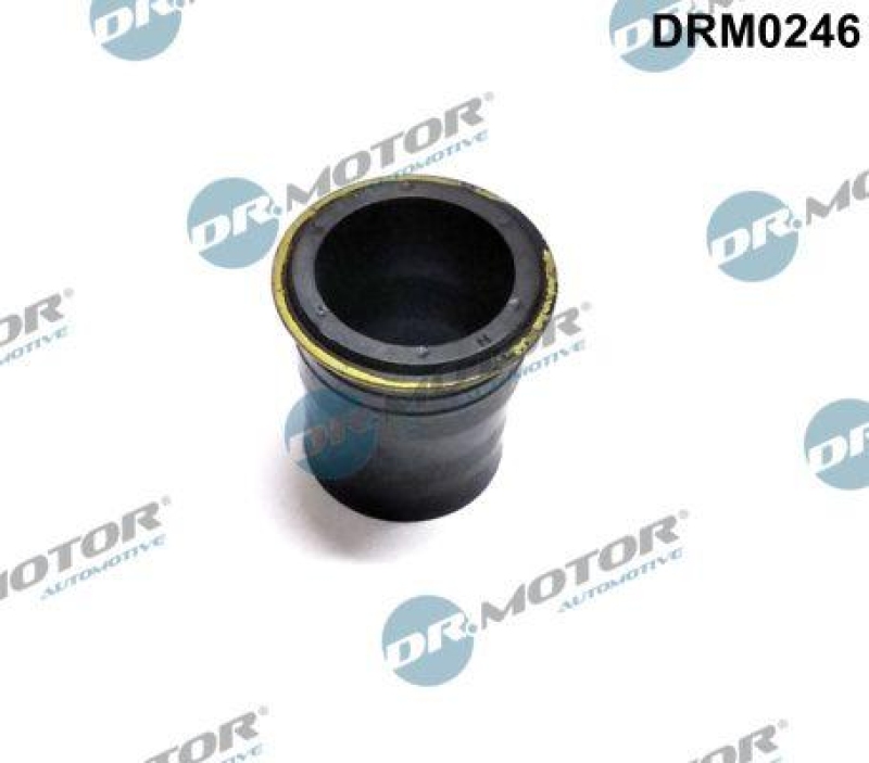 Dr.Motor Automotive Dichtung, Düsenhalter