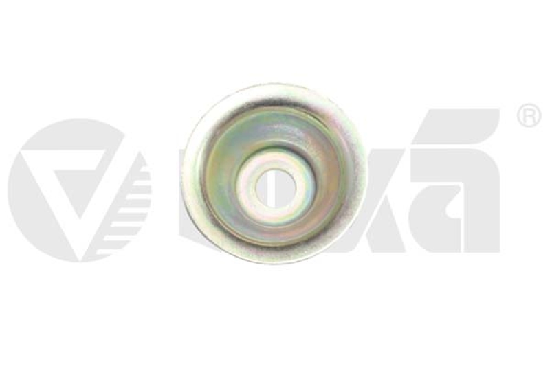 vika Federbeinaufnahme