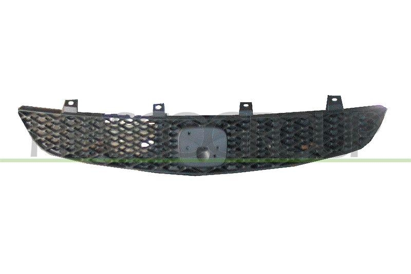 Radiator Grille Premium