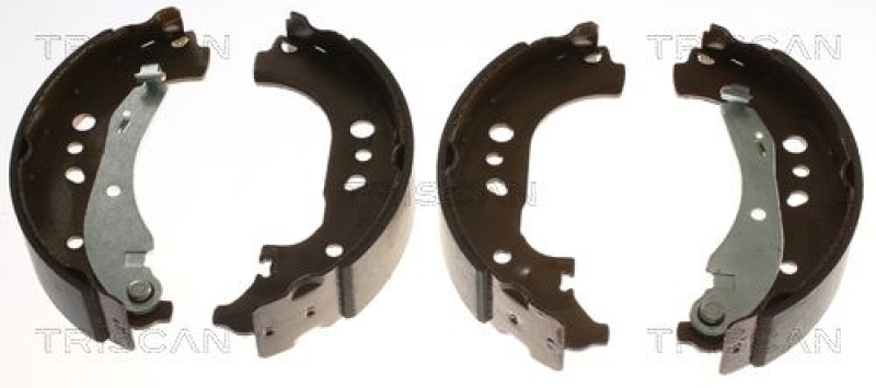 TRISCAN Bremsbackensatz 8100 29005