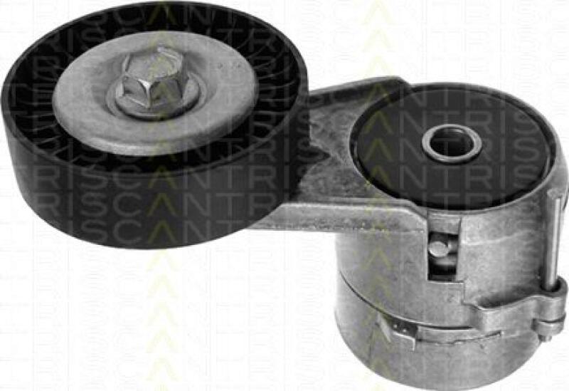 TRISCAN Tensioner Lever, v-ribbed belt