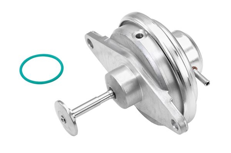 BorgWarner (Wahler) EGR Valve