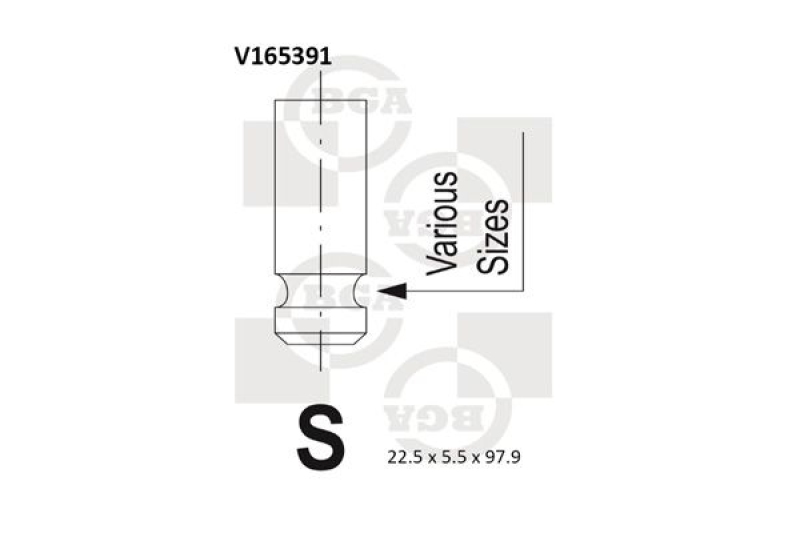 BGA Auslassventil V165391
