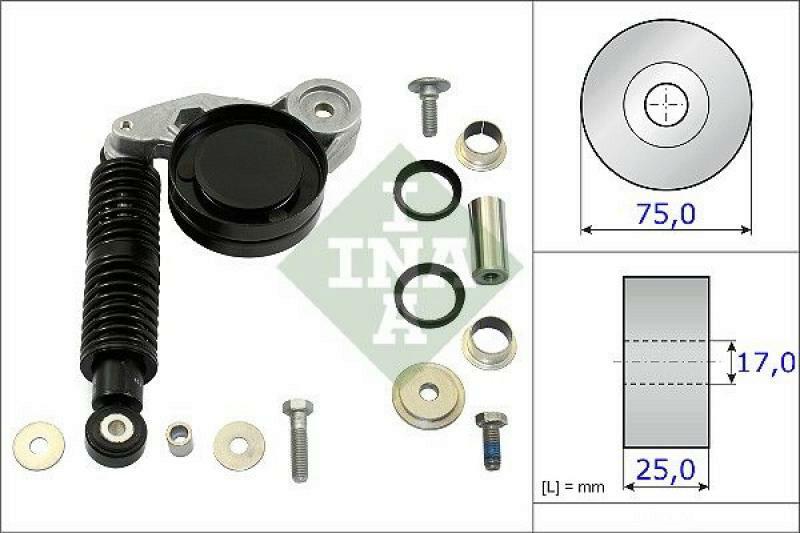 INA Repair Kit, v-ribbed belt tensioner