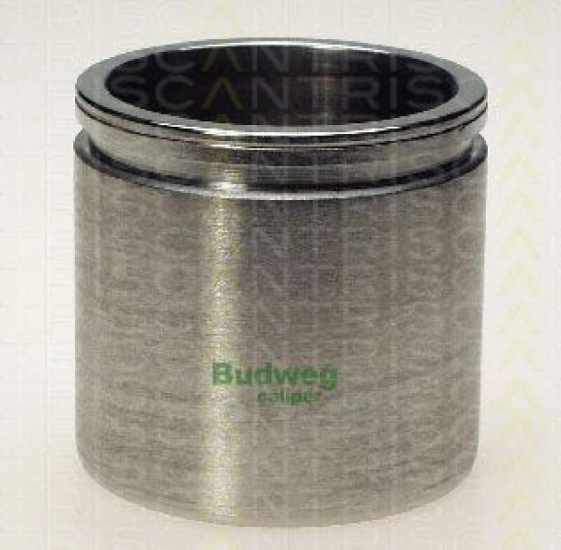 TRISCAN Piston, brake caliper