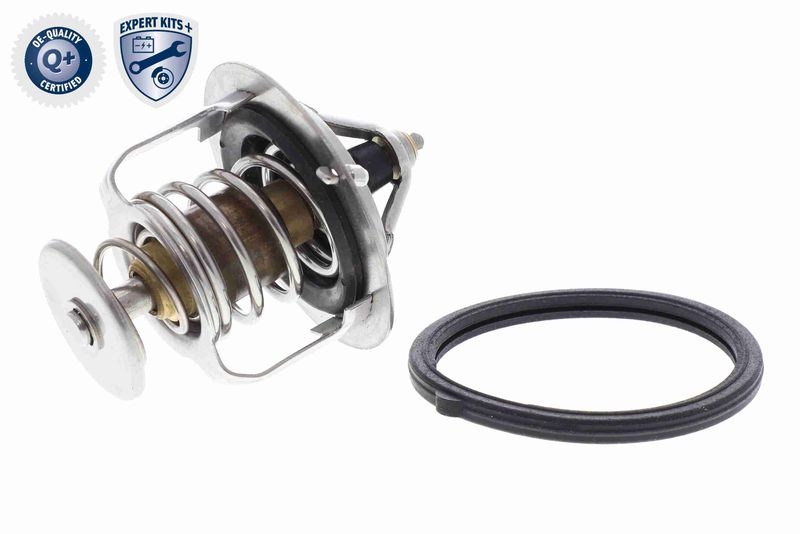 ACKOJA Thermostat f&uuml;r K&uuml;hlmittel / K&uuml;hlerthermostat EXPERT KITS +