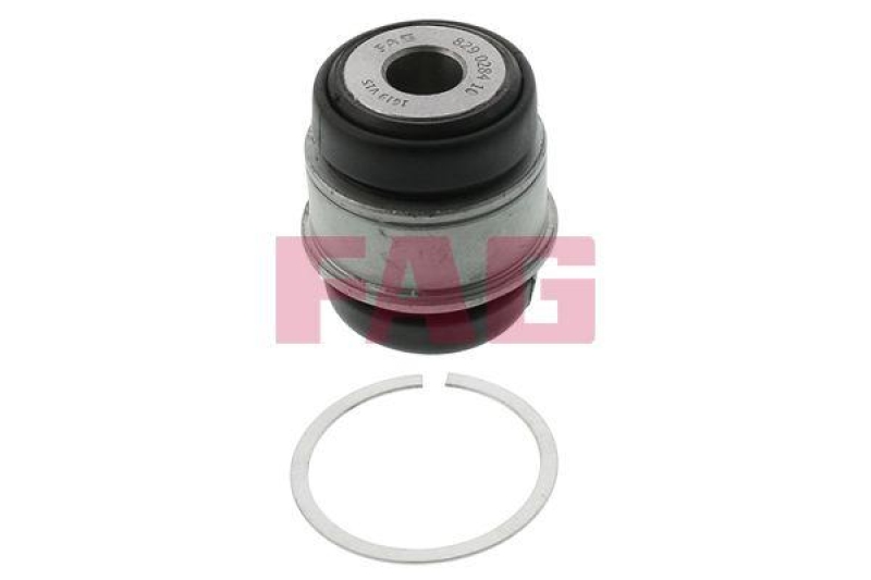 Schaeffler FAG Lagerung, Lenker