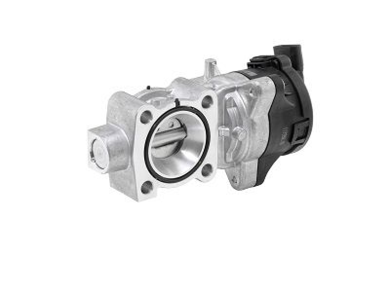 BorgWarner (Wahler) AGR-Ventil