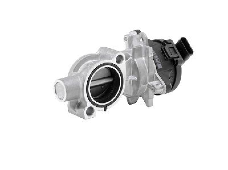 BorgWarner (Wahler) AGR-Ventil