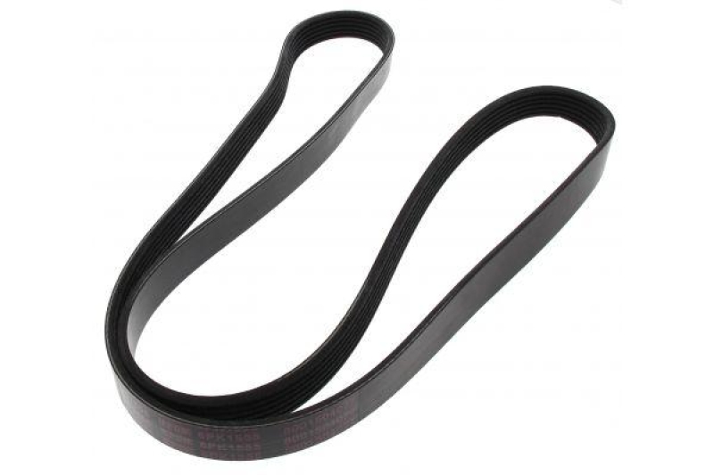 MAPCO V-Ribbed Belt