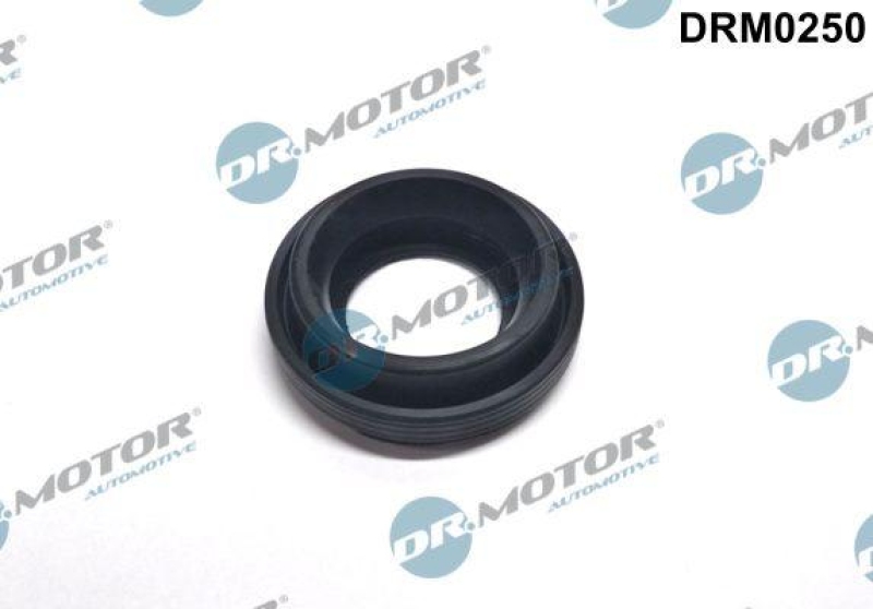 Dr.Motor Automotive Dichtung, Düsenhalter