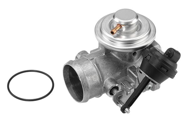 BorgWarner (Wahler) EGR Valve
