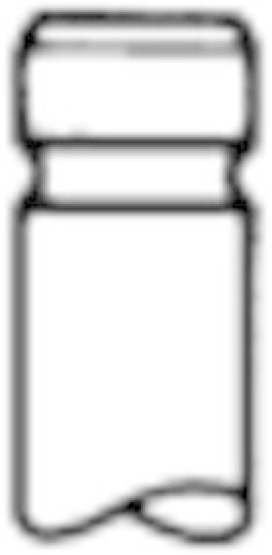 TRW Engine Component Intake Valve