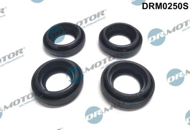 Dr.Motor Automotive Dichtung, Düsenhalter