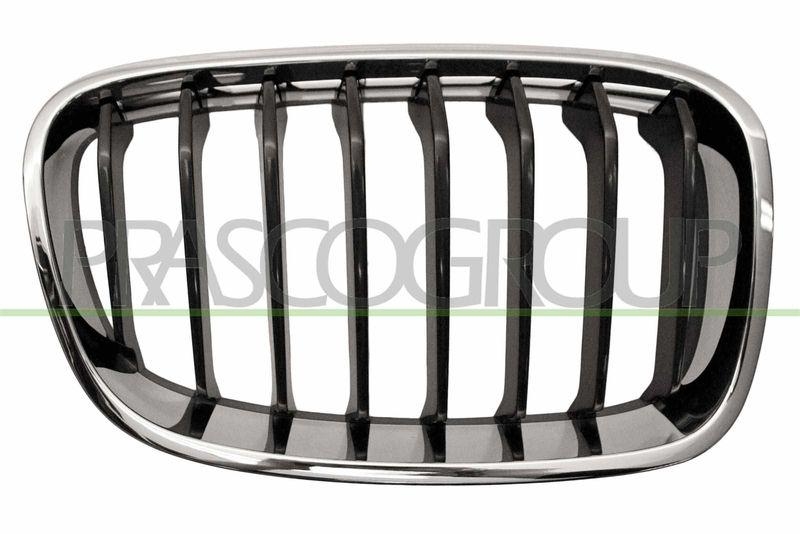 Radiator Grille